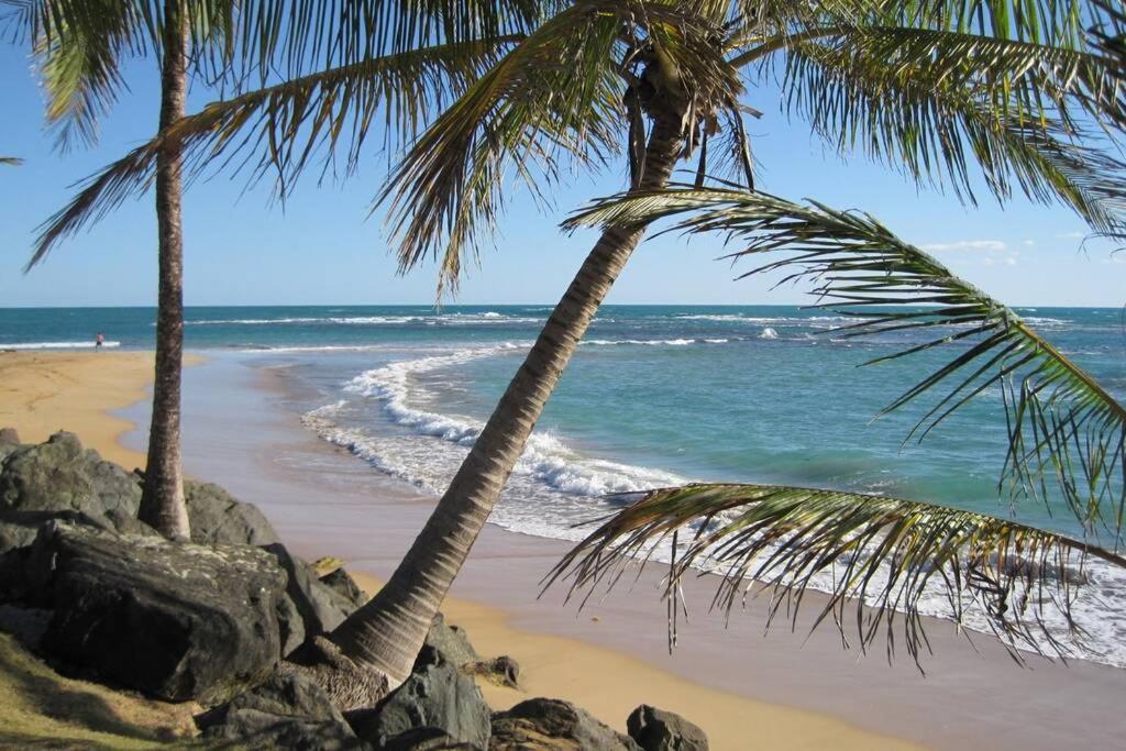 Comfortable And Affordable Deal Close To Beach And Rainforest Rio Grande Exterior photo